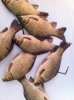 IMG-20170508-WA0013.jpg