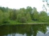 DSC09834.jpg