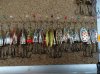 DSC02415.JPG