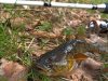 DSCN1901.jpg