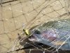 DSC08056.jpg