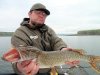 DSC08334.jpg