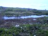 IMG0213A.jpg
