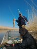 IMG-20170417-WA0002.jpg