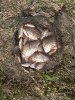 IMG_20170520_111837.jpg