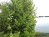 DSC04949.jpg