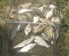 DSC04610.JPG