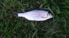 20170523_203114.jpg