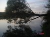 DSC05334.jpg
