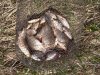 IMG_20170520_111808.jpg