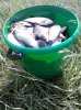IMG-20170612-WA0000.jpg