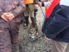 IMG_6686.jpg