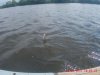2017_0619_142619_001.jpg
