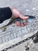 хрюхрюp Image 2017-06-17 at 09.38.30.jpg
