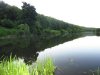 IMG_1018.jpg