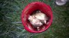 2012-05-22_22-40-04_336.jpg