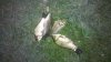 2012-05-23_22-40-10_816.jpg