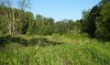 DSC02842.JPG