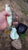 IMG-20170628-WA0052.jpg