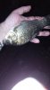 IMG-20170628-WA0064.jpg