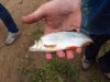 IMG-20170702-WA0001.jpg