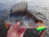 DSC05846.jpg