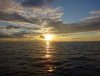DSC05857.jpg
