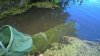 WP_20170709_08_24_32_Raw.jpg