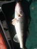 IMG_20170711_130902.jpg