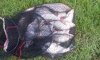 IMG_20170715_082807.jpg