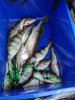 IMG_20170716_100149-780x1.jpg