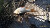 IMG_20170816_143636.jpg