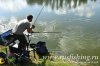 www.rusfishing.ru Рыбалка с Русфишинг Чемпионат по Ловле Карпа 5-й тур ЛКЛ 2017 - 364.jpg