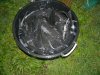 DSCN8904.jpg