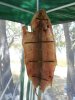 IMG-20170828-WA0040.jpg