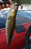 20170824_180243.jpg