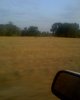 picture_00437.jpg