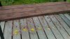 P_20170903_095415.jpg