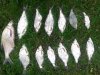 20120702_104921.jpg