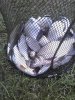 IMG_20120625_143206.jpg