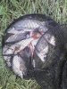 IMG_20120626_144046.jpg