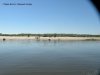 DSCN9734.jpg