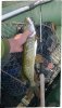 WP_20170901_005.jpg