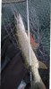 WP_20170901_010.jpg