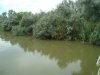 DSC07966.JPG