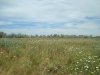 DSC08021.JPG