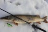 IMG_5211.jpg
