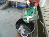 DSCN3233.jpg