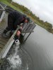 DSCN3236.jpg