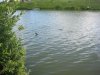 IMG_0631.JPG